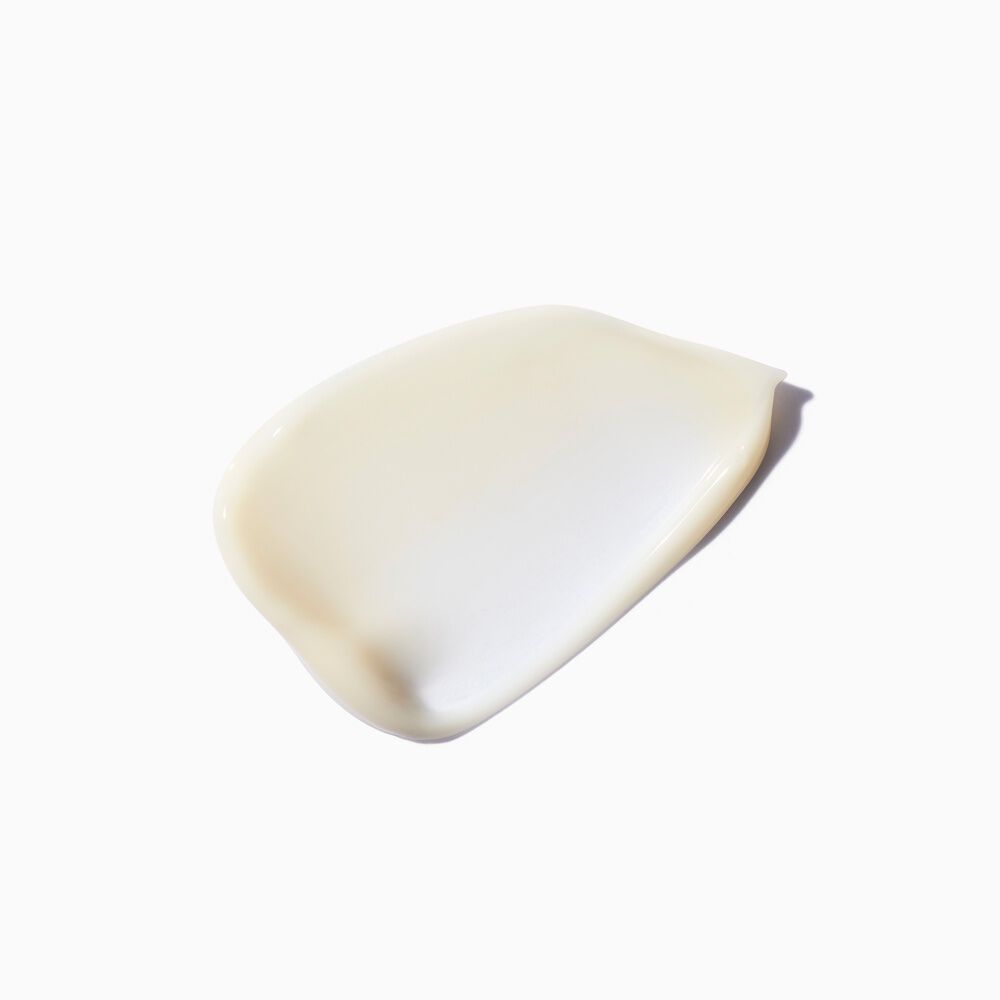 Densifique Fondant Densite Conditioner