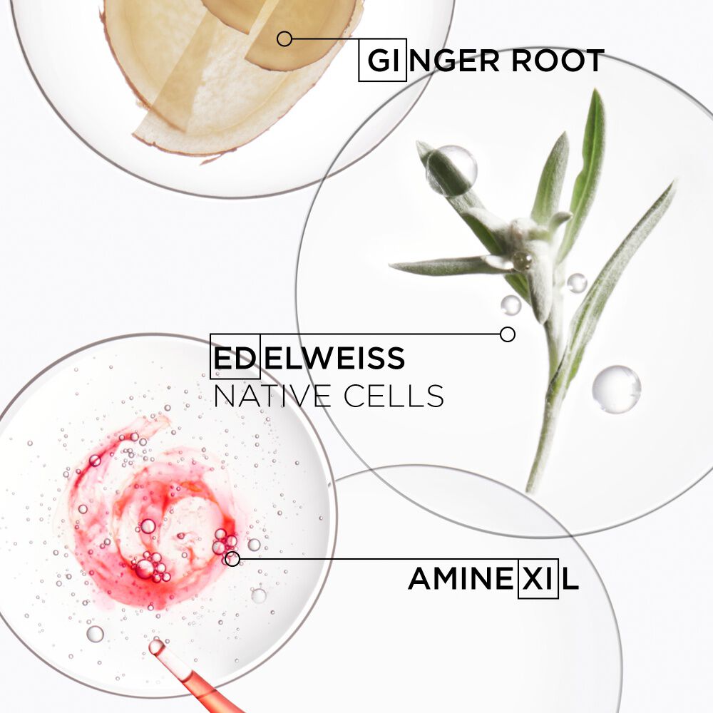 Genesis Masque Reconstituant