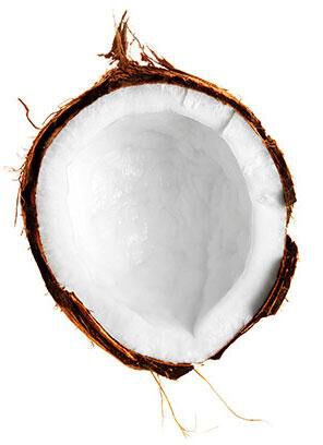 A cracked coconut showcasing its creamy white interior, surrounded by fibrous brown shell remnants.