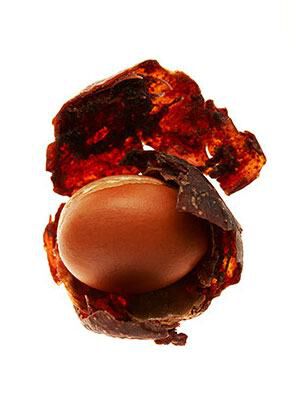 A brown egg partially exposed from a cracked, dark red shell, highlighting its smooth surface and unique texture.