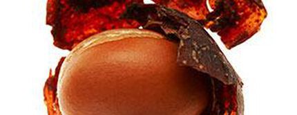 A brown egg partially exposed from a cracked, dark red shell, highlighting its smooth surface and unique texture.