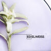 A close-up of an edelweiss flower with a pastel purple background and text label reading \'EDELWEISS.\'