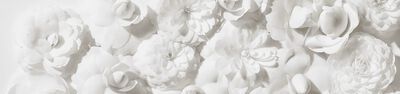 A close-up of delicate white flowers arranged closely together, showcasing their layered petals and intricate details.