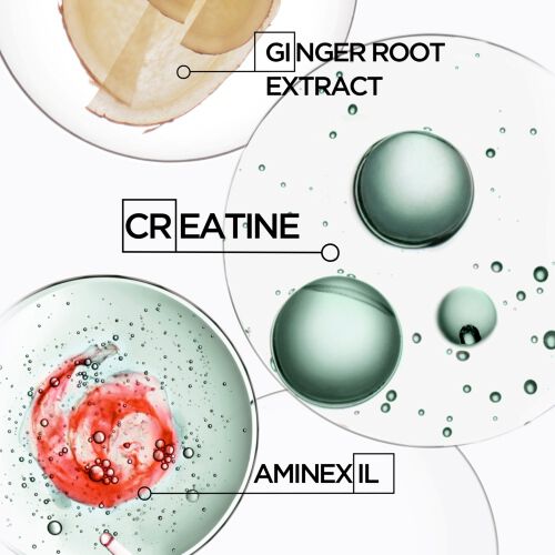 Ingredients creatine, ginger root extract and aminexil used for preventing hair loss