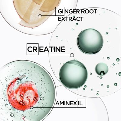 Ingredients creatine, ginger root extract and aminexil used for preventing hair loss