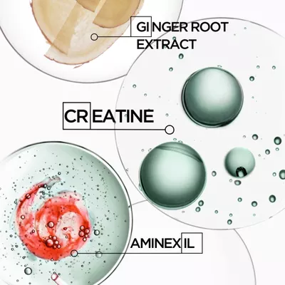 Ingredients creatine, ginger root extract and aminexil used for preventing hair loss