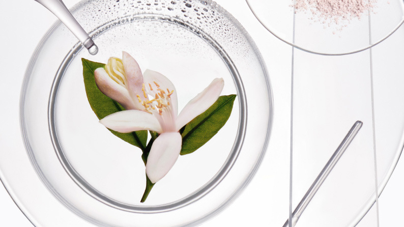 Save your scalp with vitamin E